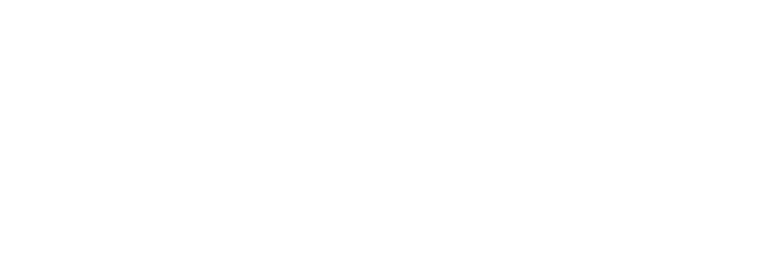 logo_ibcm_2021_white