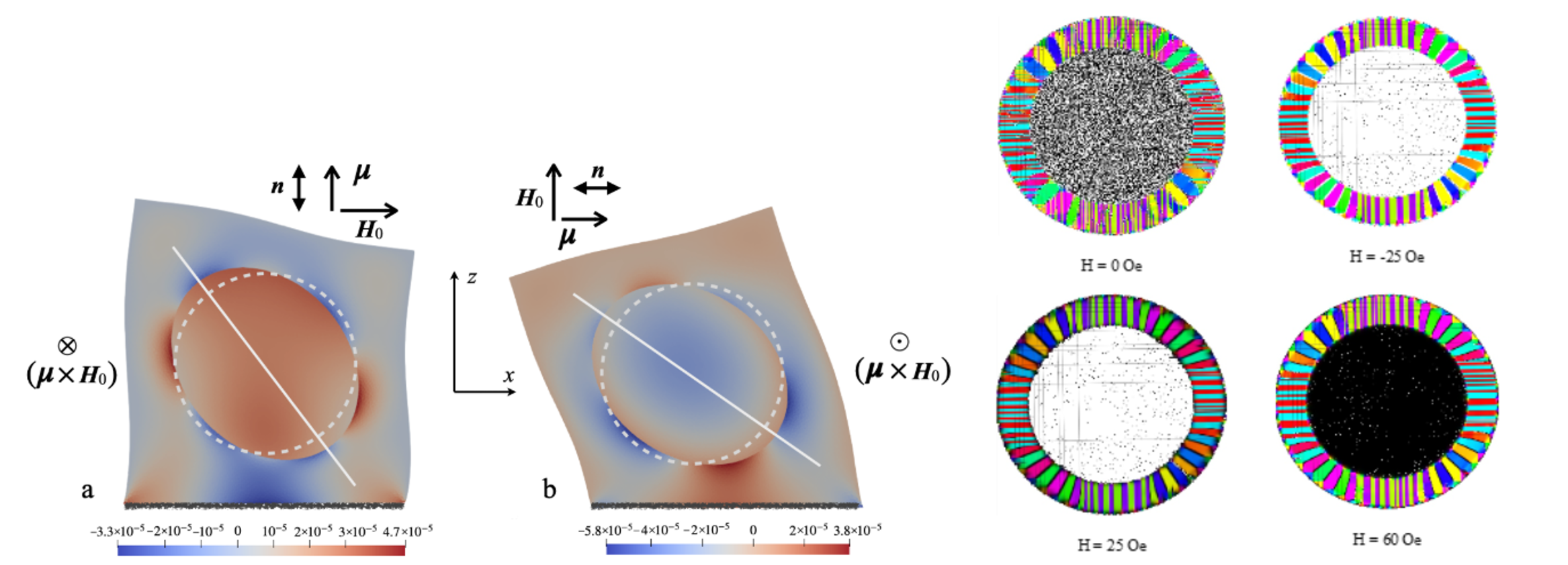 2D cell of a single-domain uniaxial particle and micromagnetic simulations of Fe-based microwire domain structure