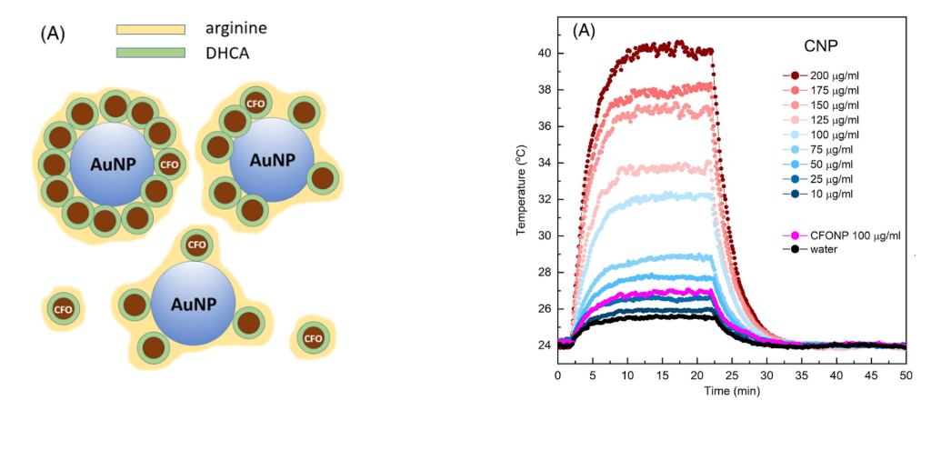 Enlarged view of Composite nanoparticles