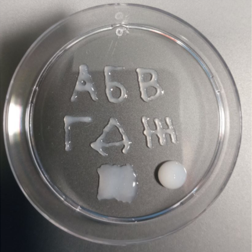 Enlarged view of letters printed by collagen bioinks